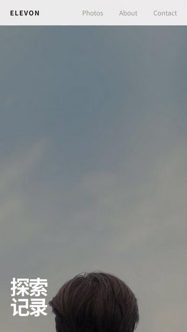 Screenshot of elevon.cn