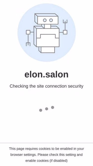 Screenshot of elon.salon