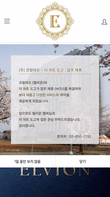 Screenshot of elvion.co.kr