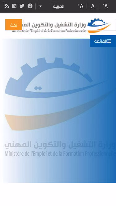 Screenshot of emploi.gov.tn