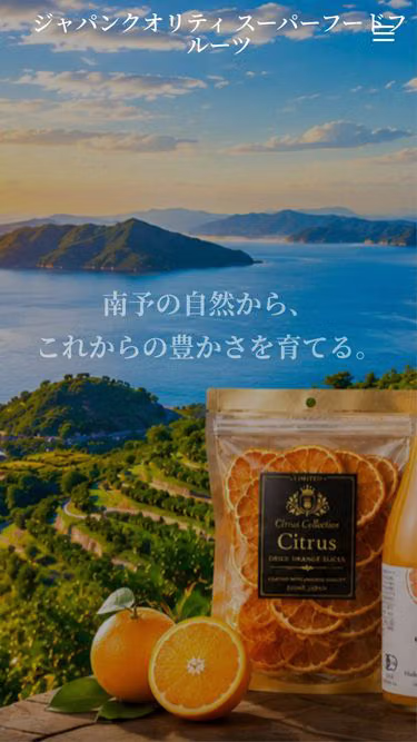 Screenshot of enet.co.jp