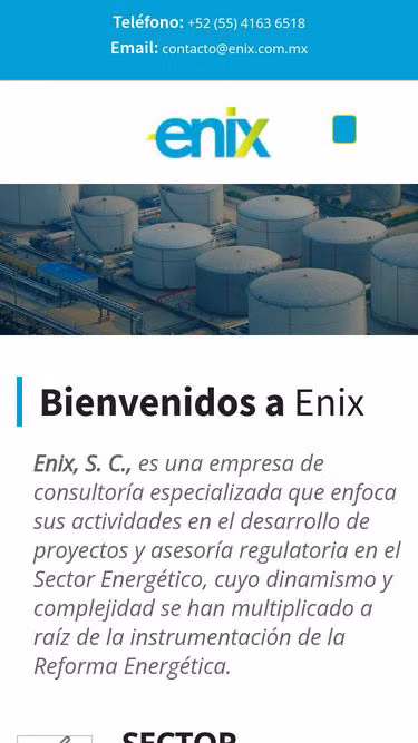 Screenshot of enix.com.mx