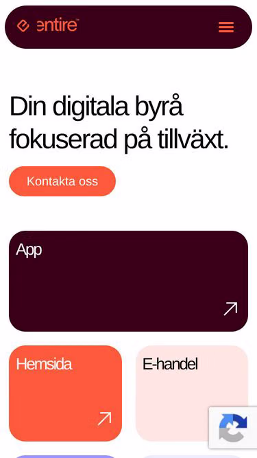 Screenshot of entire.rs