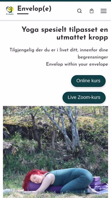 Screenshot of envelop.no