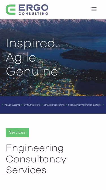 Screenshot of ergo.co.nz