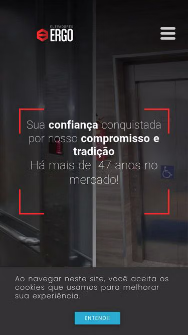 Screenshot of ergo.com.br
