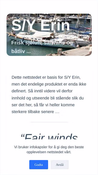 Screenshot of erin.no