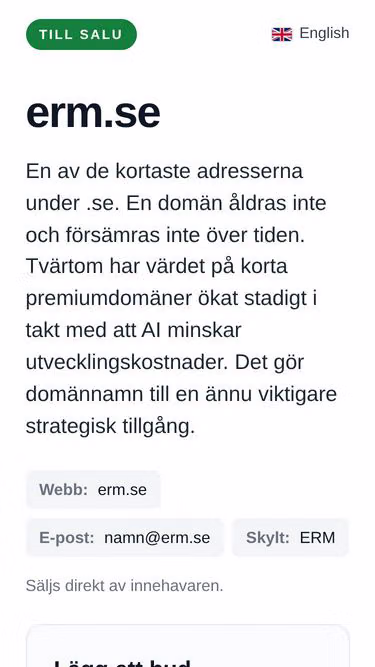 Screenshot of erm.se