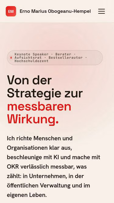 Screenshot of erno.biz