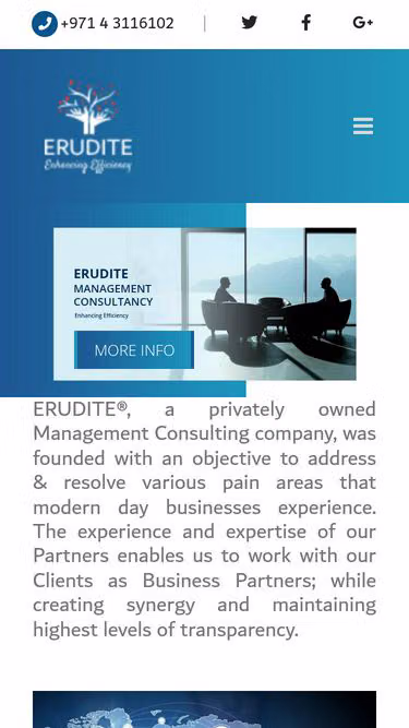 Screenshot of erudite.consulting