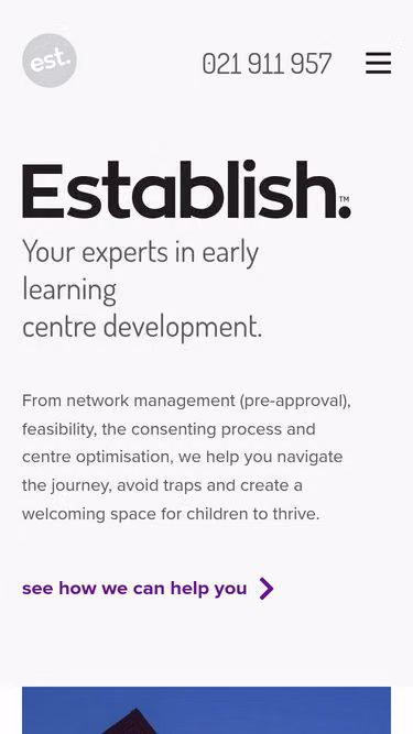 Screenshot of establish.co.nz
