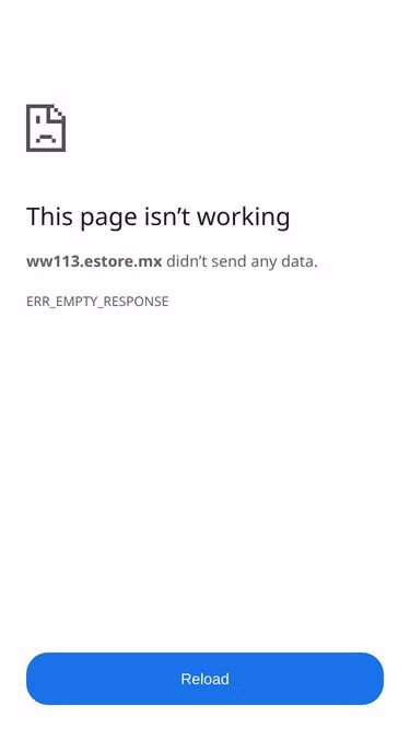 Screenshot of estore.mx