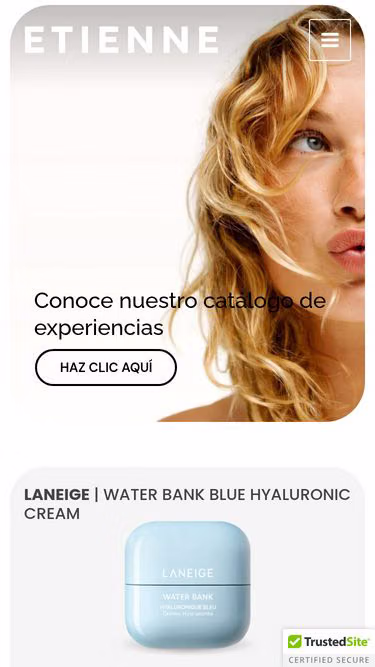 Screenshot of etienne.com.mx