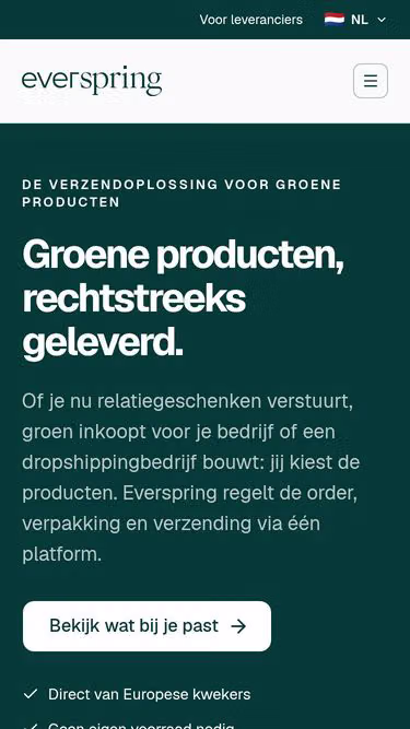 Screenshot of everspring.nl