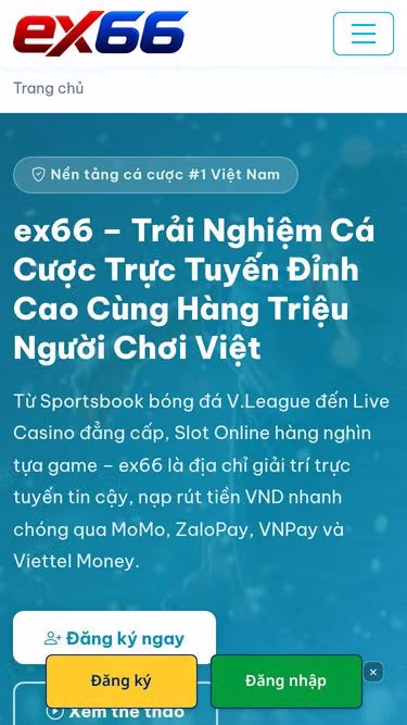 Screenshot of ex66.vin