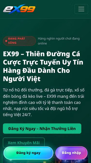 Screenshot of ex99.best