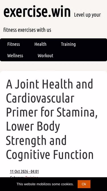 Screenshot of exercise.win