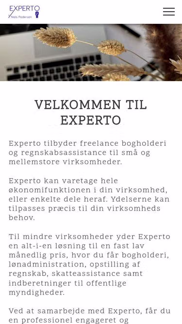 Screenshot of experto.dk