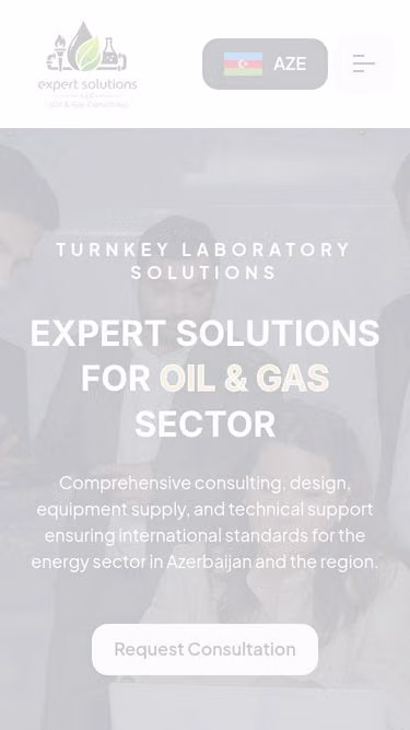 Screenshot of expertsolutions.az