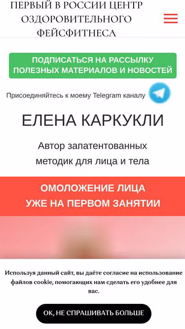Screenshot of face.fit