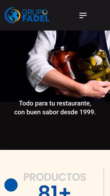 Screenshot of fadel.com.co
