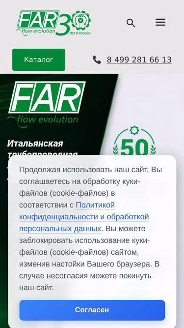 Screenshot of far.ru
