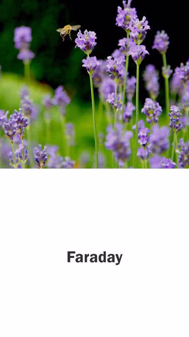 Screenshot of faraday.dk
