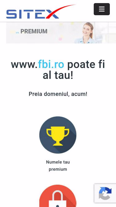 Screenshot of fbi.ro