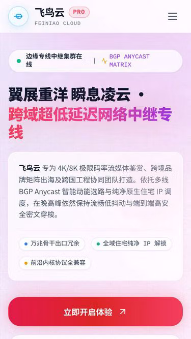 Screenshot of feiniaoyun.hair