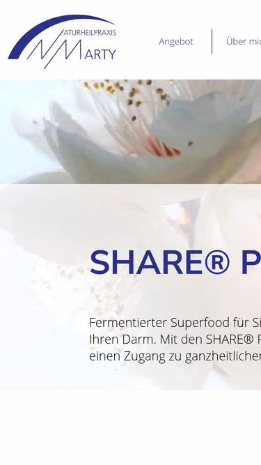 Screenshot of fermentum.ch