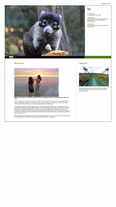Screenshot of fernandez.dk