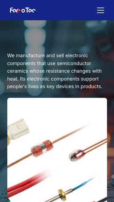 Screenshot of ferrotec.in