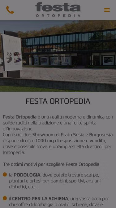 Screenshot of festa.it