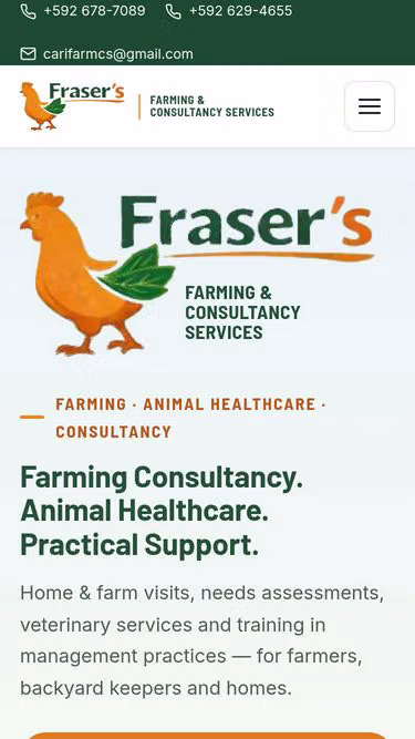 Screenshot of ffcs.site