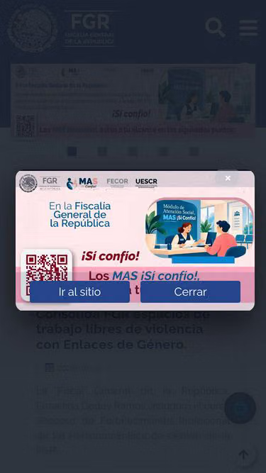 Screenshot of fgr.org.mx