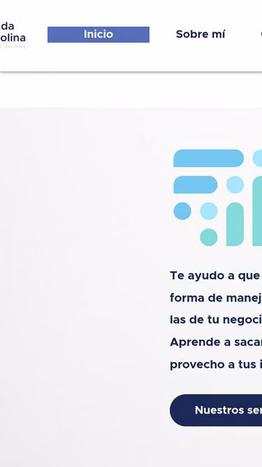 Screenshot of financialwellness.mx