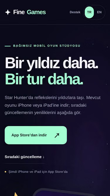 Screenshot of fine.com.tr