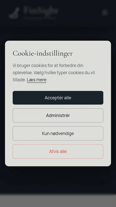 Screenshot of finsight.dk