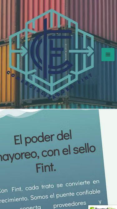 Screenshot of fint.mx