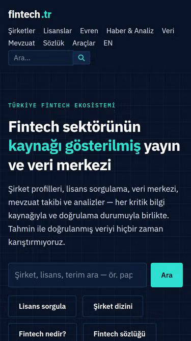Screenshot of fintech.tr