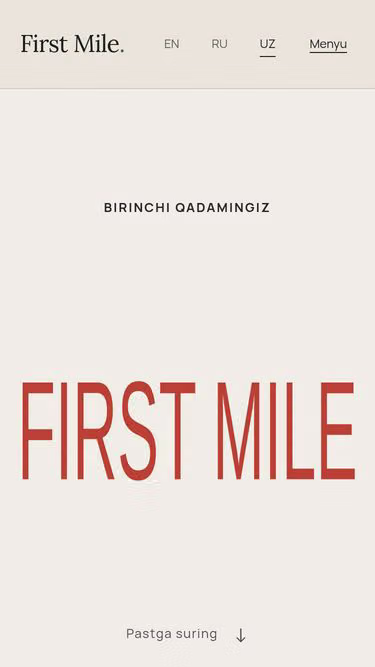 Screenshot of firstmile.company