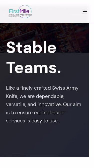 Screenshot of firstmile.consulting