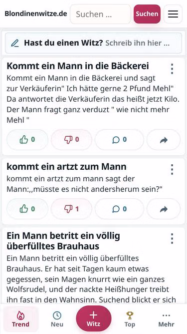 Screenshot of fist.de