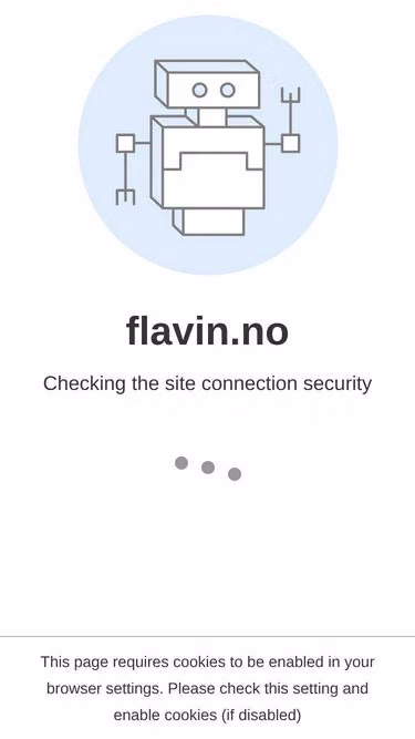 Screenshot of flavin.se