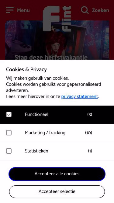 Screenshot of flint.nl