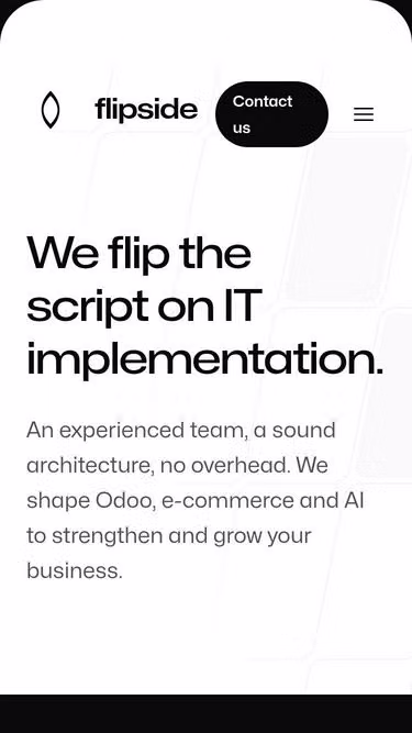 Screenshot of flipside.be