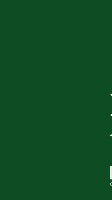 Screenshot of flowy.solutions