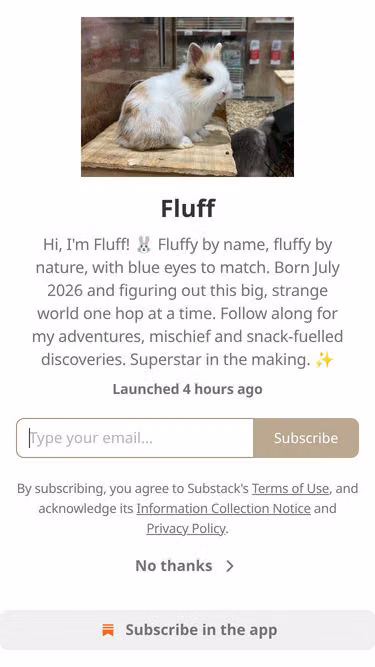 Screenshot of fluff.rocks