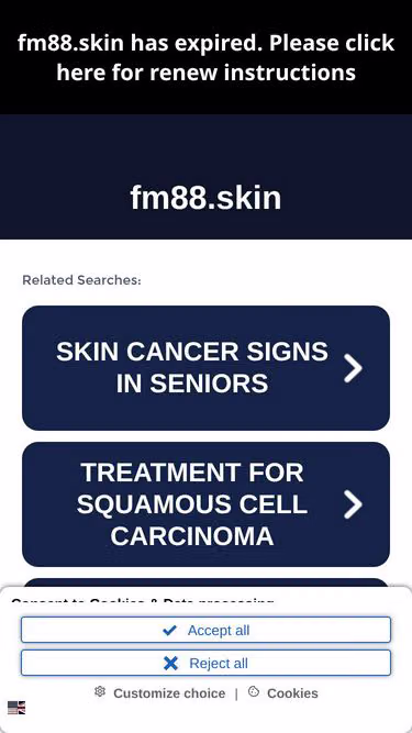 Screenshot of fm88.skin