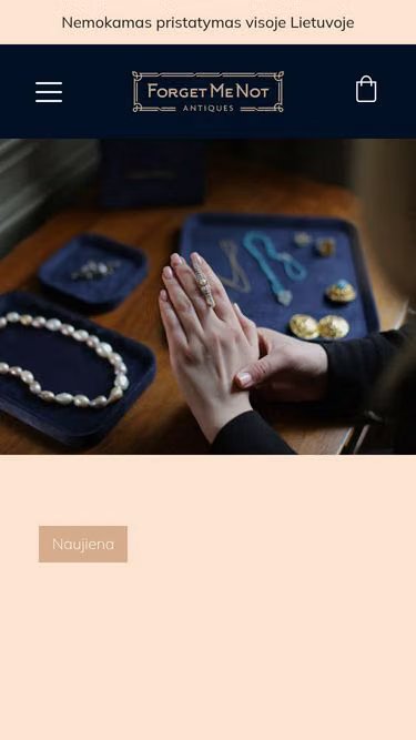 Screenshot of forgetmenot.lt